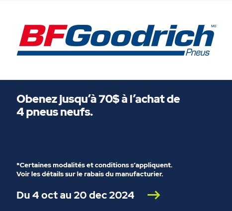 BFGoodricH