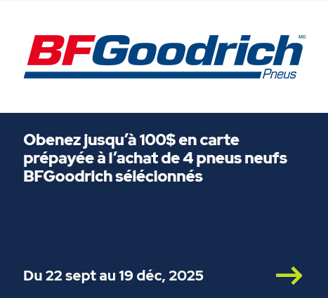 BFGoodricH